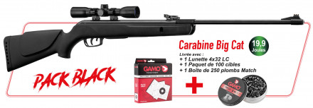 Pack Cerise 2024 - Carabine Big Cat + Lunette 4x32 LC + 100 cibles + 250 plombs Match Gamo