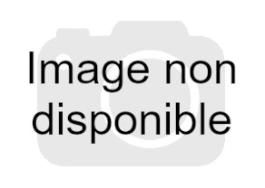 Pard NV007S Clip-on – Vision nocturne compacte et performante